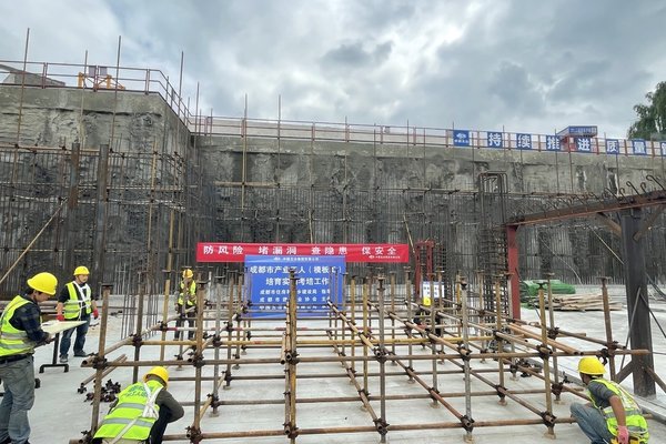 案例图片